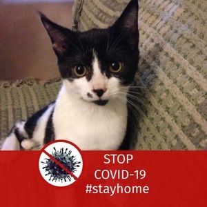 Meet your Posher, Catherine